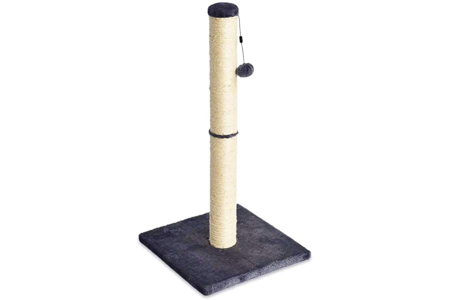 Amazon Basics Cat Scratcher - Indoor Classic Single Cat & Kittens Scratching Post, Medium (31.5"H) - Grey