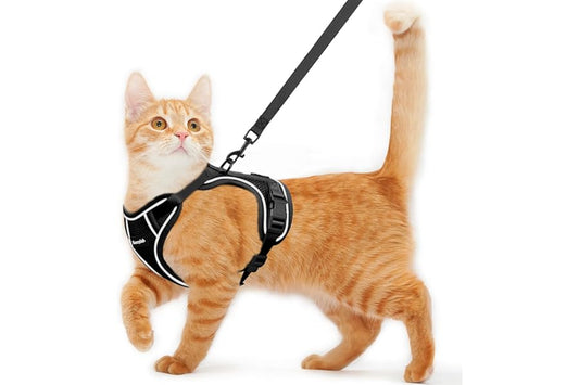 Cat Harness and Leash for Walking Escape Proof Soft Adjustable Cat Leash Breathable Comfortable Vest Easy to Wear Kitten Harness for Outdoor Travel Black S