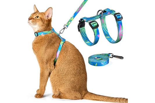 Cat Harness and Leash Set - Escape Proof Adjustable Cat Harness, Comfortable Soft Lightweight, Use Safe & Easy, Walking Travel Kitten Harness for Small Medium Large Cats (Hawaii Green)