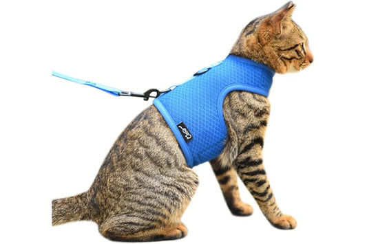 Cat Harness and Leash for Walking Escape Proof Breathable Mesh Fabric, Solid Blue, Large, Adjustable Cat Walking Jackets, Padded Stylish Cat Vest